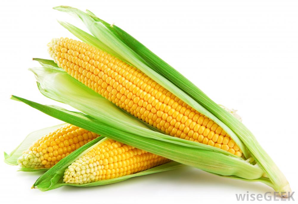 Cornmeal Made With Maize