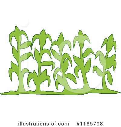 Crops Clipart Royalty Free  Rf  Corn Clipart
