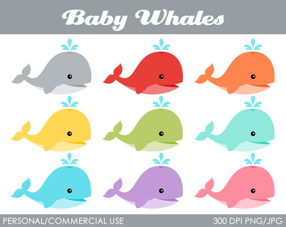Cute Whale Clip Art Baby Whale Clip Art