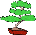 Free Tree Clipart   Tree Graphics