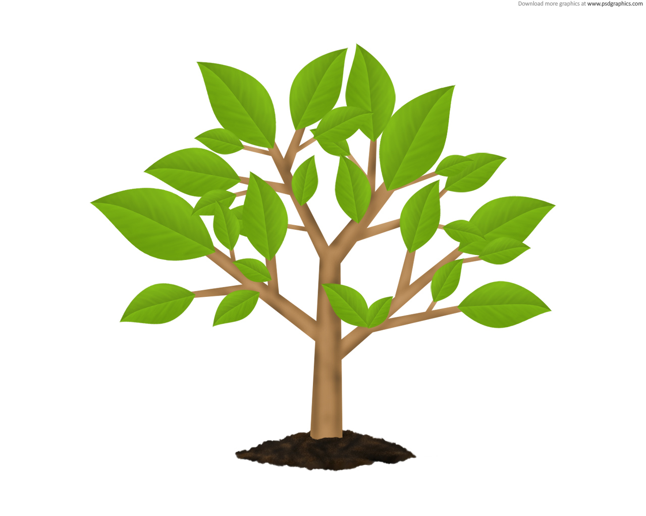 Full Size Jpg Preview  Green Tree Environment Symbol