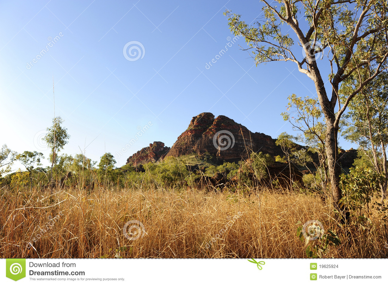 High Grass And Mountain Range In Outback Australia