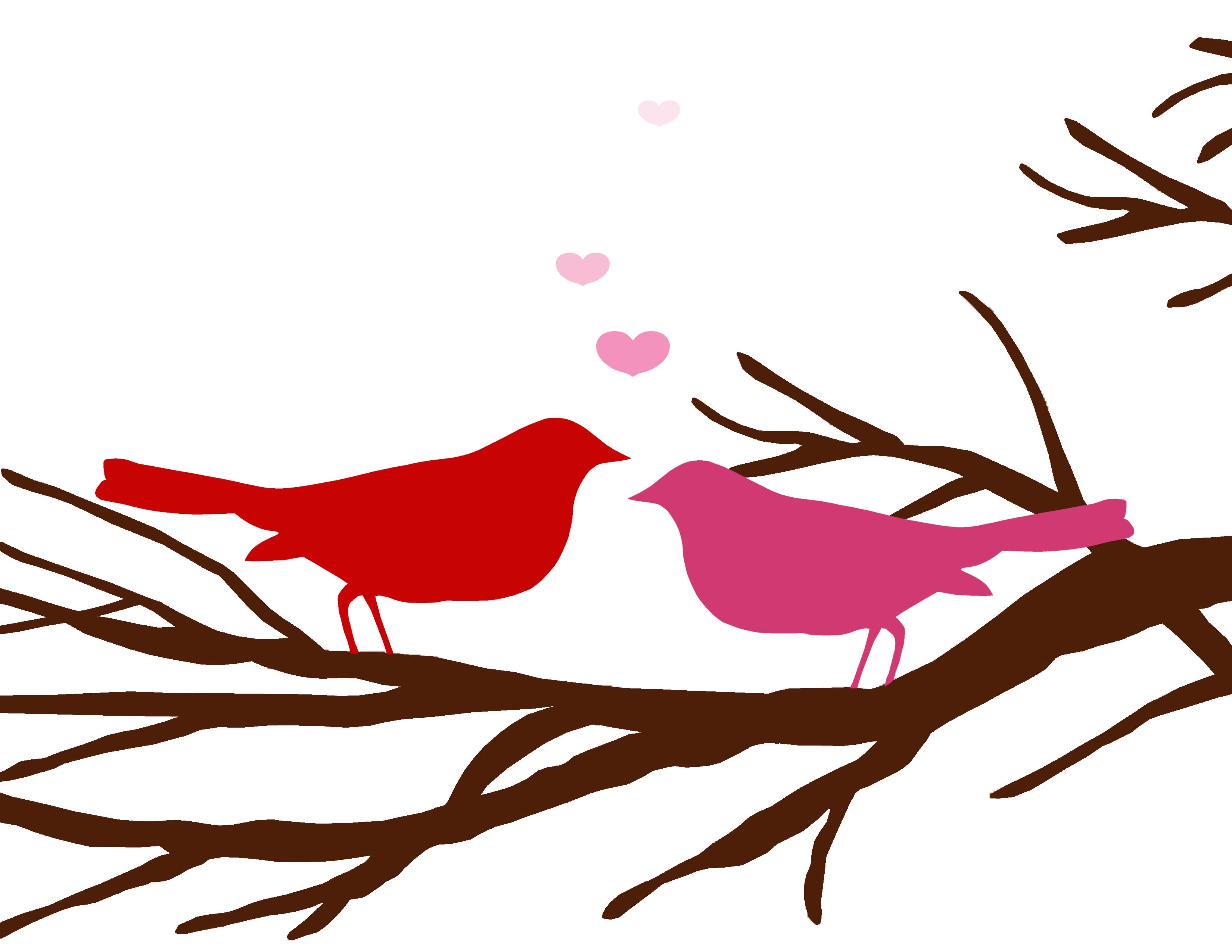 Love Bird Graphic   Clipart Best