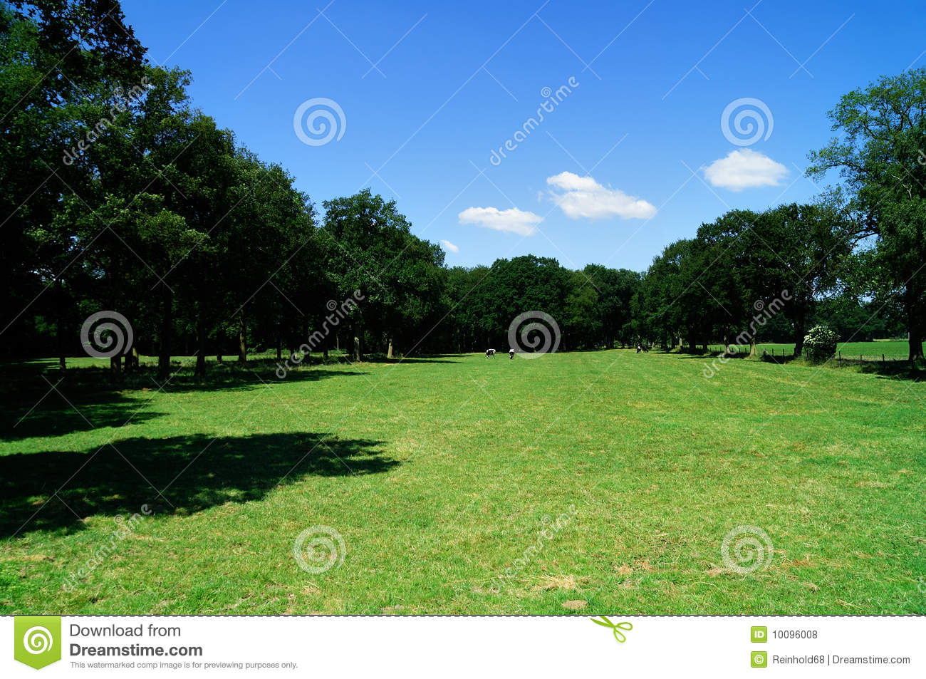 Range Land With Green Meadow Bordered With Trees In Front Of A Blue