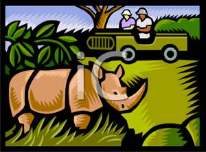 Rhinoceros In A Game Park   Royalty Free Clipart Picture