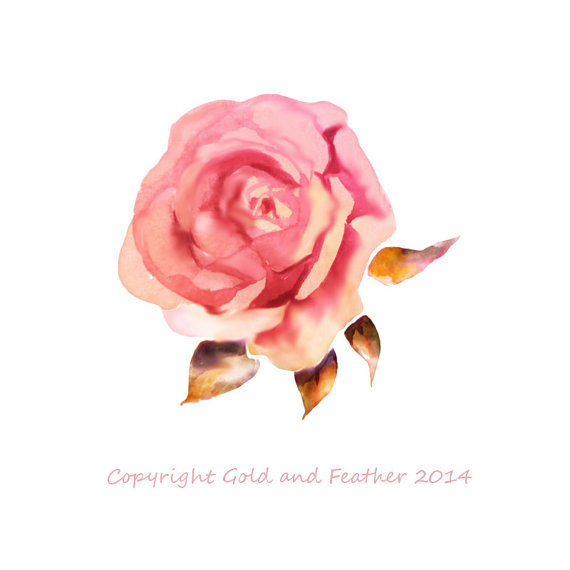 Rose Clipart Dusky Pink Peach Watercolour Flower By Goldandfeather