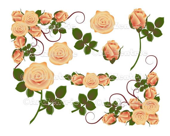 Roses Clipart 10  Png Peach Rose Elements For Commercial Or Personal