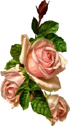 Roses Clipart   Free Rose Images And Clip Art