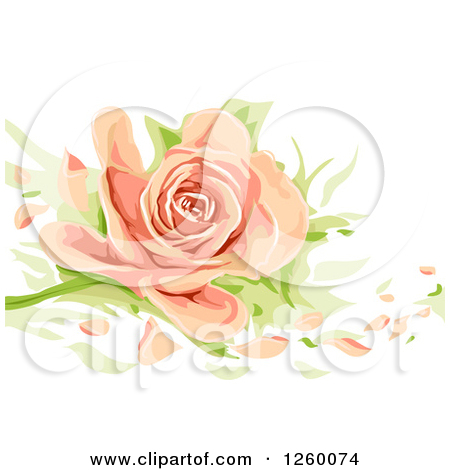 Royalty Free  Rf  Clipart Of Pink Roses Illustrations Vector