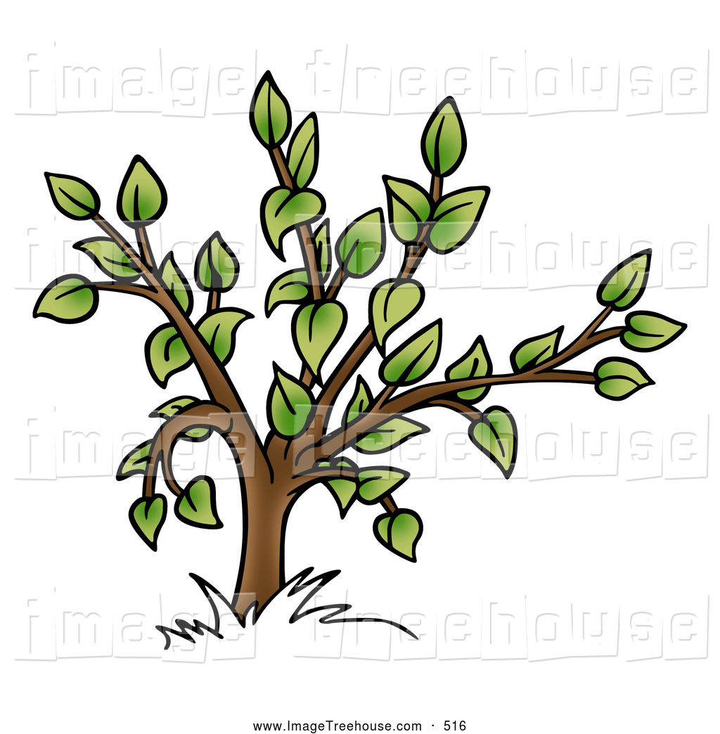 Small Tree With Green Foliage Tree Clip Art Dero