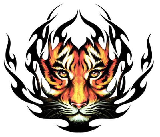 There Is 18 Tiger Claw Scratch   Free Cliparts All Used For Free