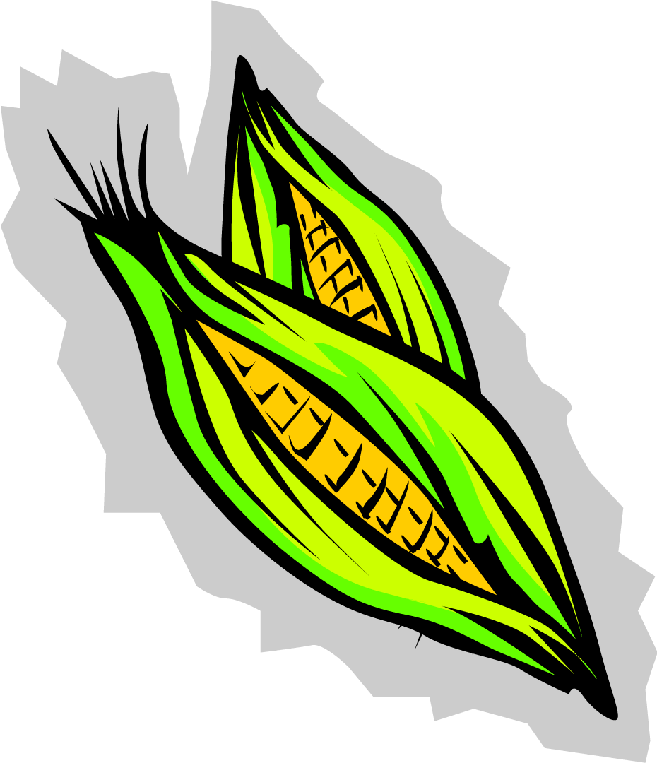 This Picture Is Of A Pair Of Corncobs  The Corn Itself Is Bright
