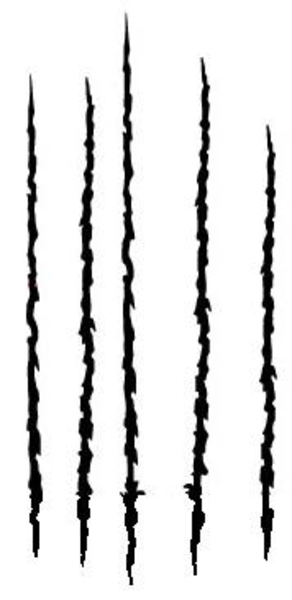 Tiger Claw Marks Clipart