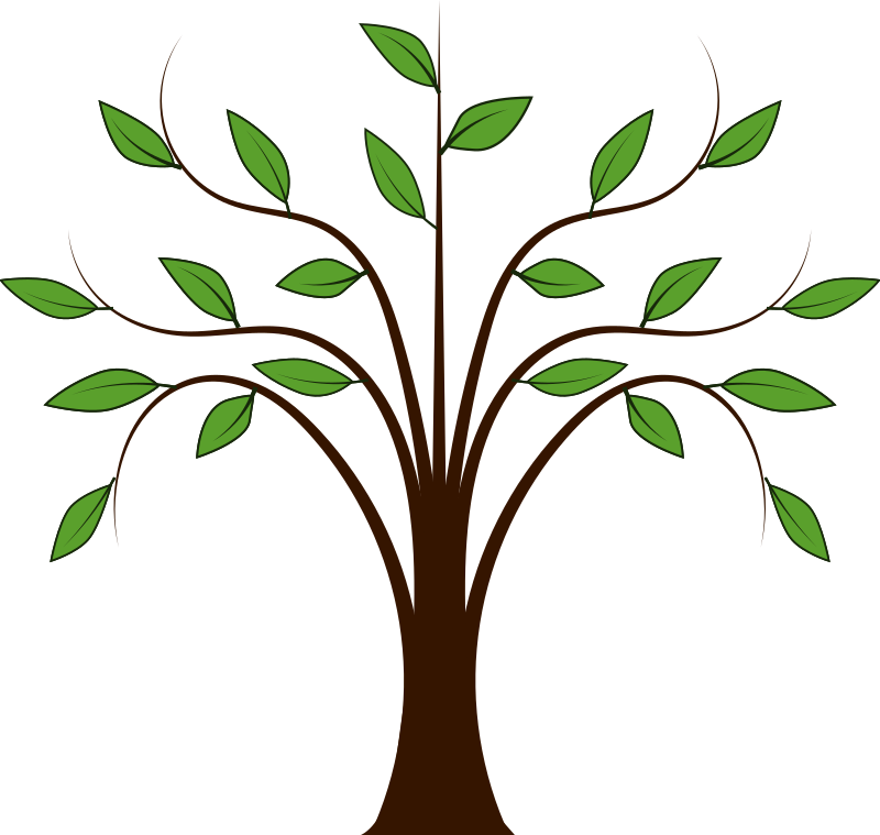Whispy Tree By Dear Theophilus   Tree With Thin Branches And Leaves