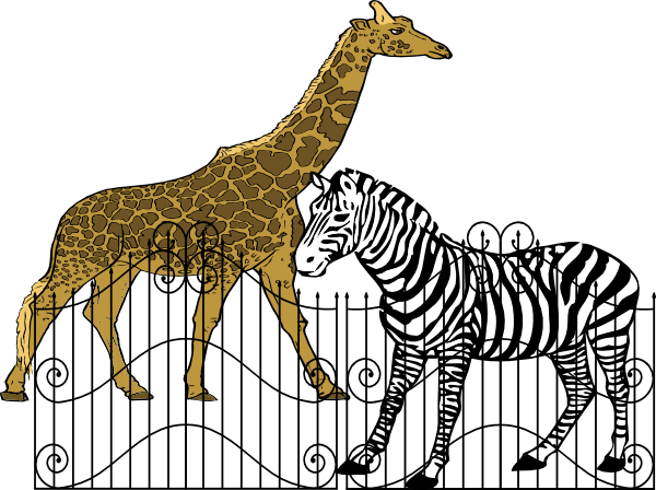 Zoo Animals Clip Art At Clker Com   Vector Clip Art Online Royalty