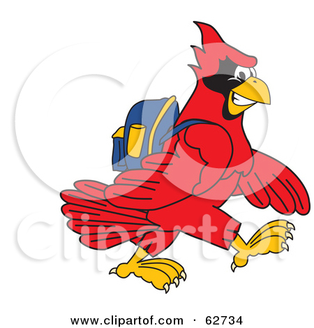 Cardinal Mascot Vector