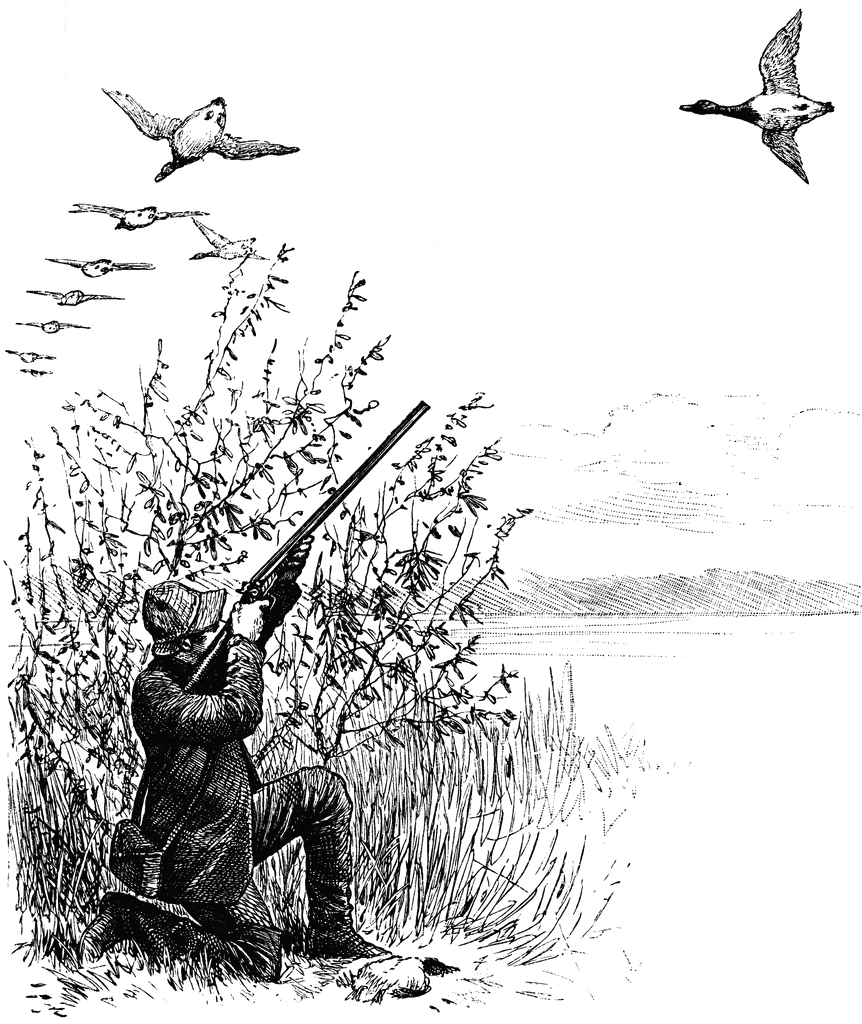 Geese Hunting   Clipart Etc