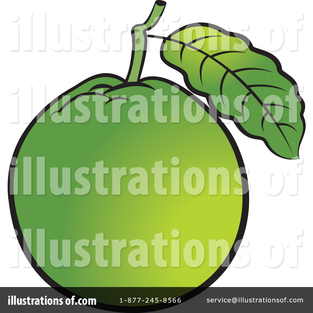 Guava Clipart  100373   Illustration By Lal Perera