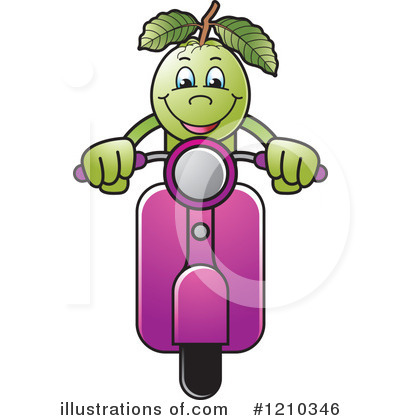 Guava Clipart  1210346 By Lal Perera   Royalty Free  Rf  Stock