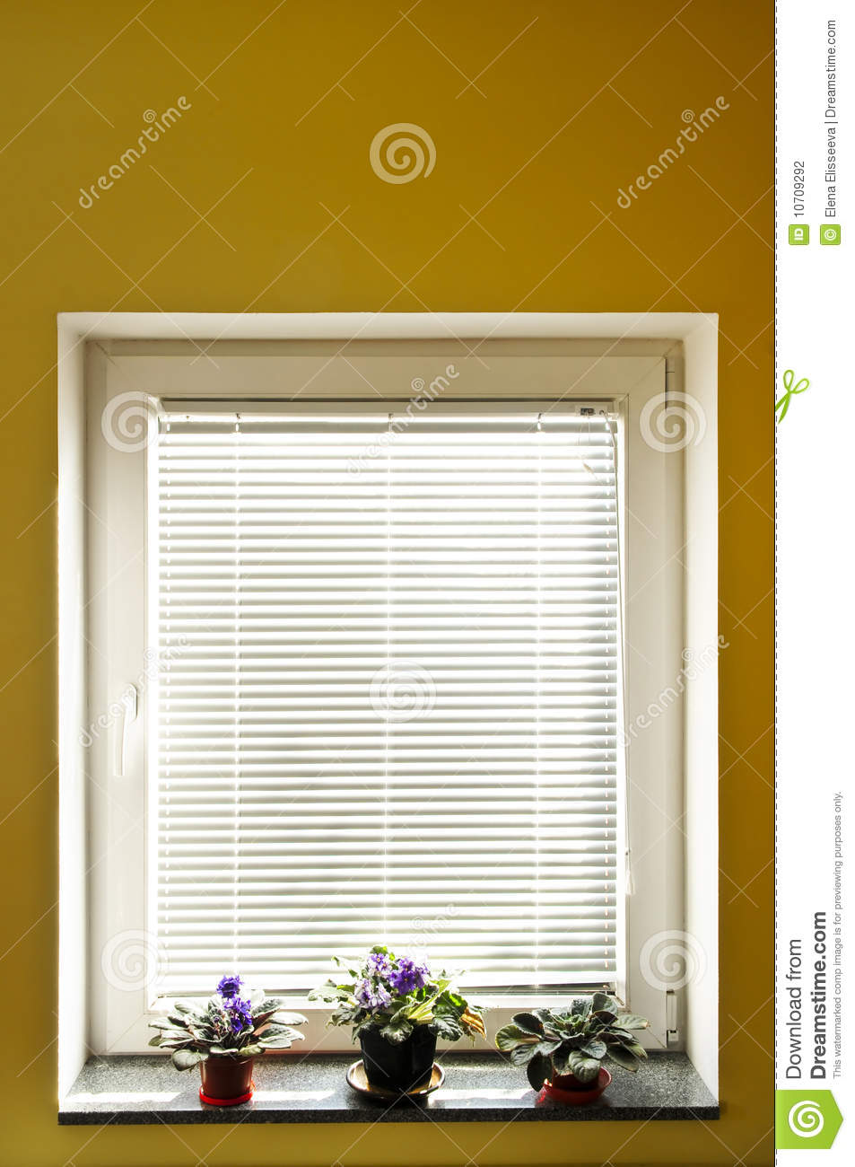 Window Blinds Stock Photography   Image  10709292