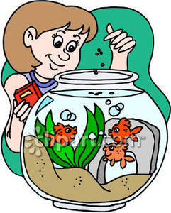 Woman Feeding Goldfish In A Fish Bowl   Royalty Free Clipart Picture