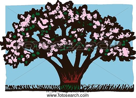 Clipart Of Magnolia Tree Rr So Magnoliatree C   Search Clip Art
