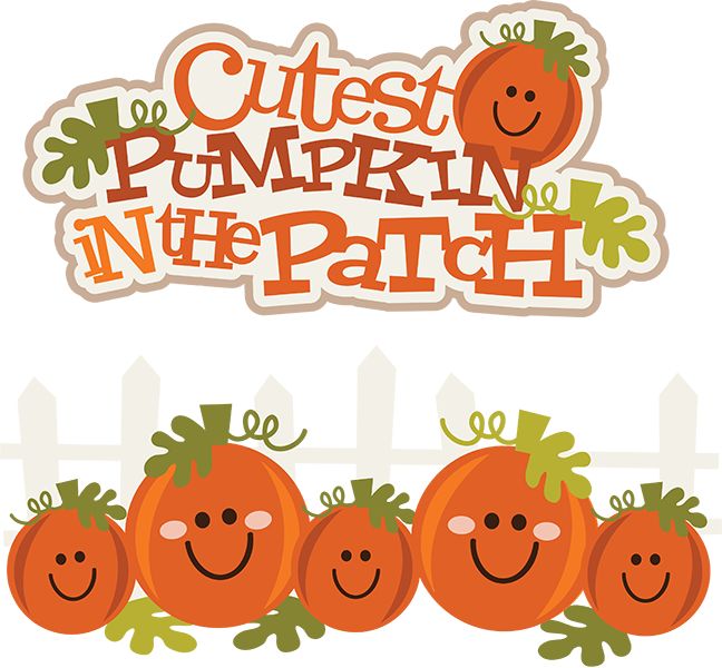Cutest Pumpkin In The Patch Svg Pumpkin Clipart Cute Pumpkin Clipart    