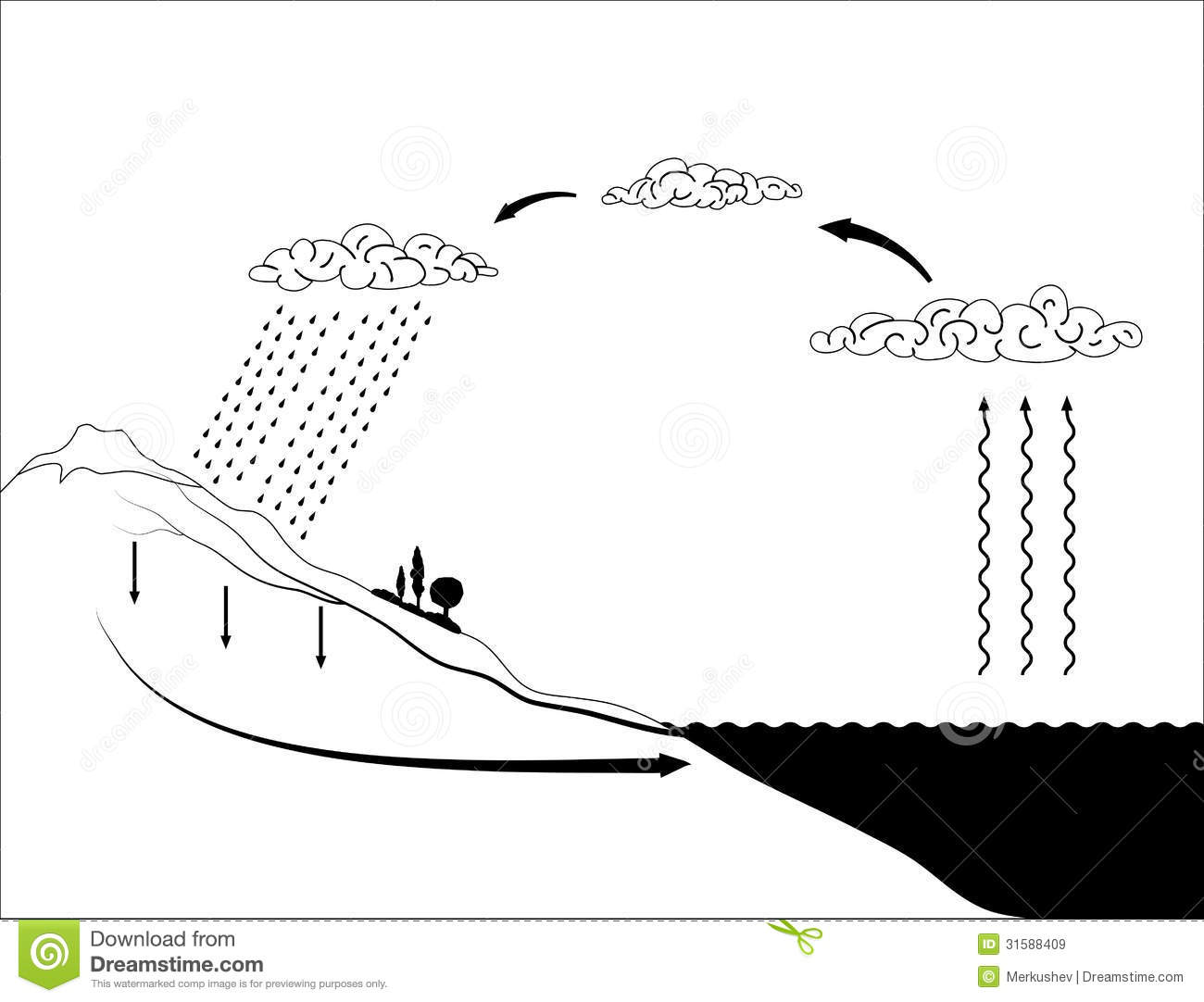 Evaporation Clipart Vector Schema Water Cycle     