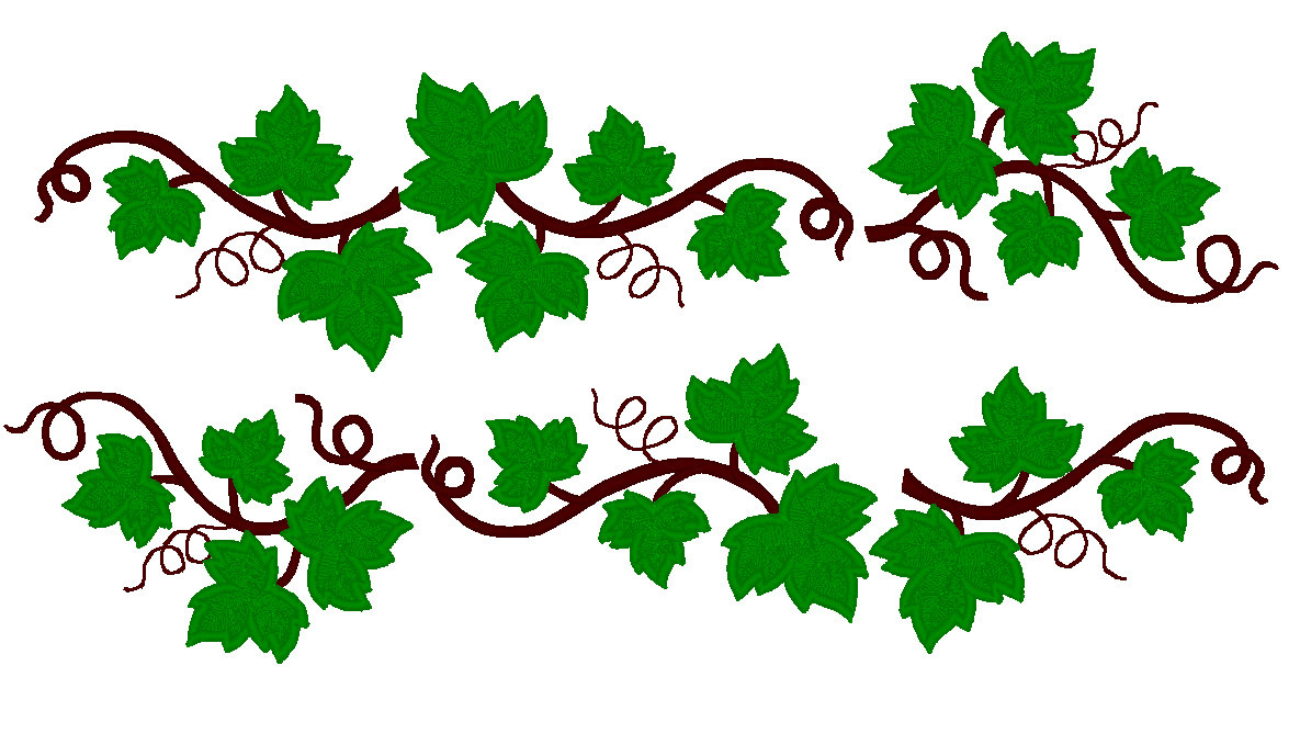 Grape Leaves   Ivy Leaf Set Machine Embroidery Aplique By Artapli