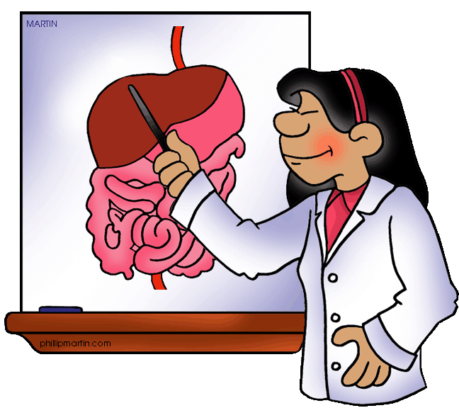 Introduction To The Digestive System