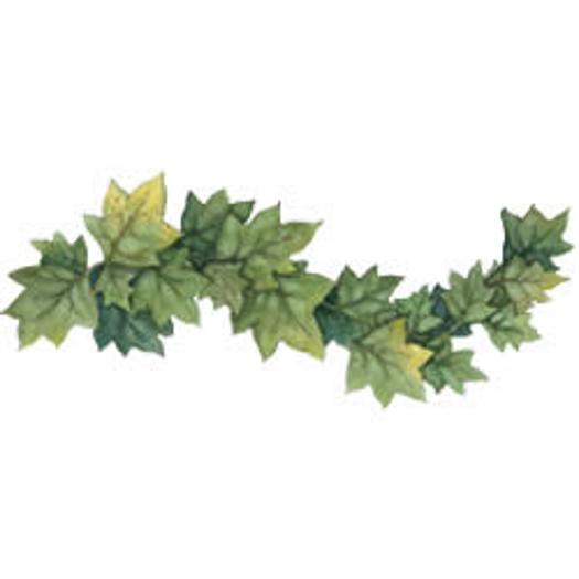 Leaf Border Clipart Ivy Border Clipart Pictures To Pin On Pinterest