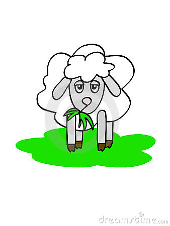 Nonchalant Clipart Chewing Sheep Royalty Free