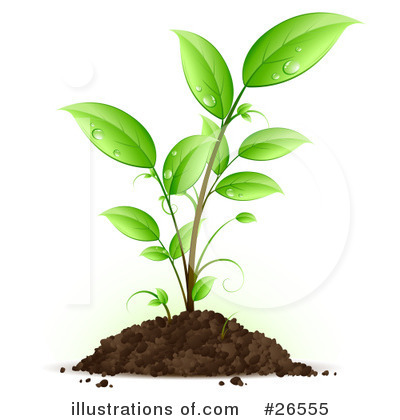 Transpiration Clipart Plant Clipart Illustration