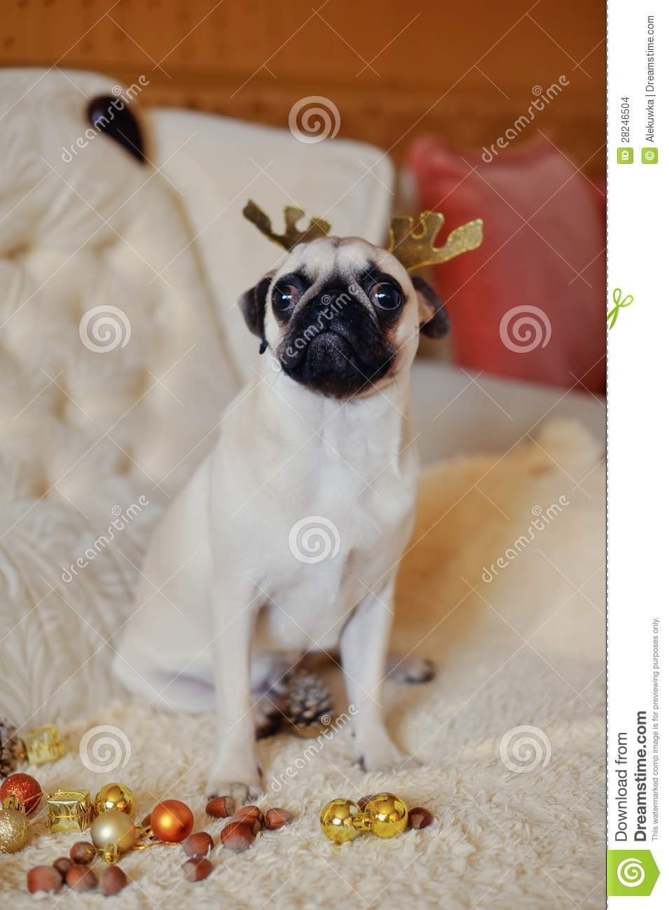 Christmas Party   Pug With Deer Antlers On A Background Of Christmas