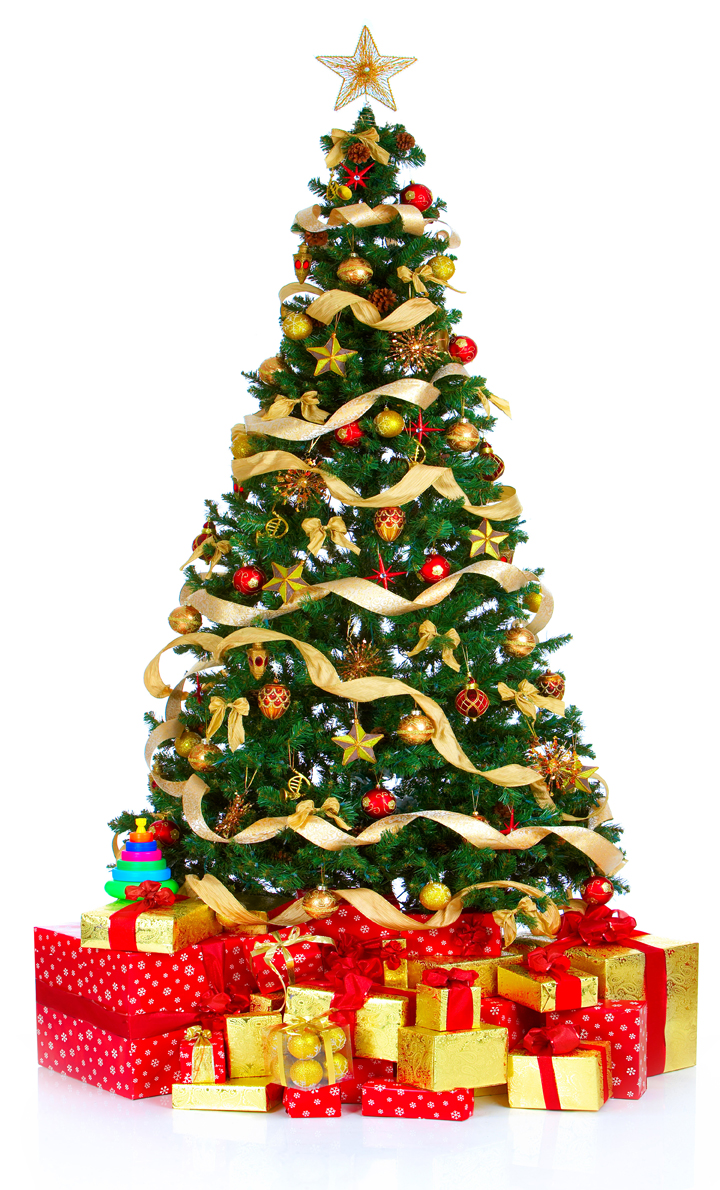 Christmas Tree Hire   Christmas Tree Rental