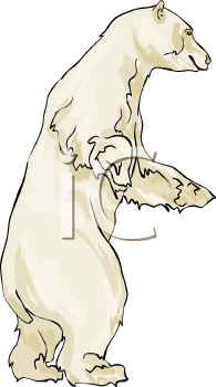 Large Polar Bear Standing Tall   Royalty Free Clipart Picture