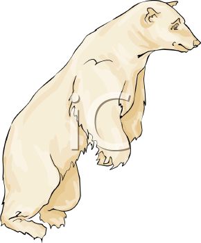 Picture Of A White Polar Bear Standing Up In A Vector Clip Art    