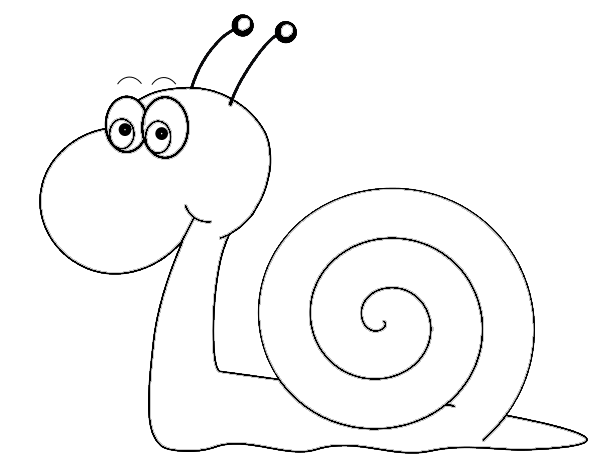 Snail Clipart Black And White