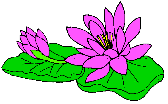 All Cliparts  Water Lily Clipart