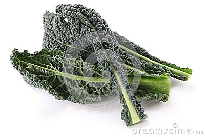 Black Kale Italian Kale Royalty Free Stock Photo   Image  30239725