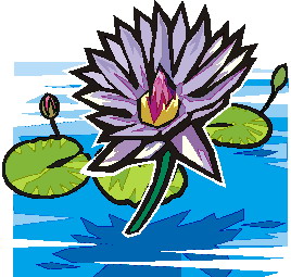 Clip Art   Water Lily Clip Art