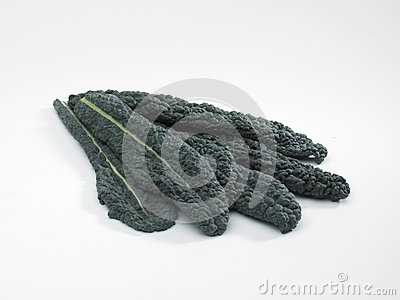Leaves Of Black Kale Cavolo Nero On A White Background 