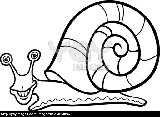 Snail Clip Art Black And White   Clipart Panda   Free Clipart Images