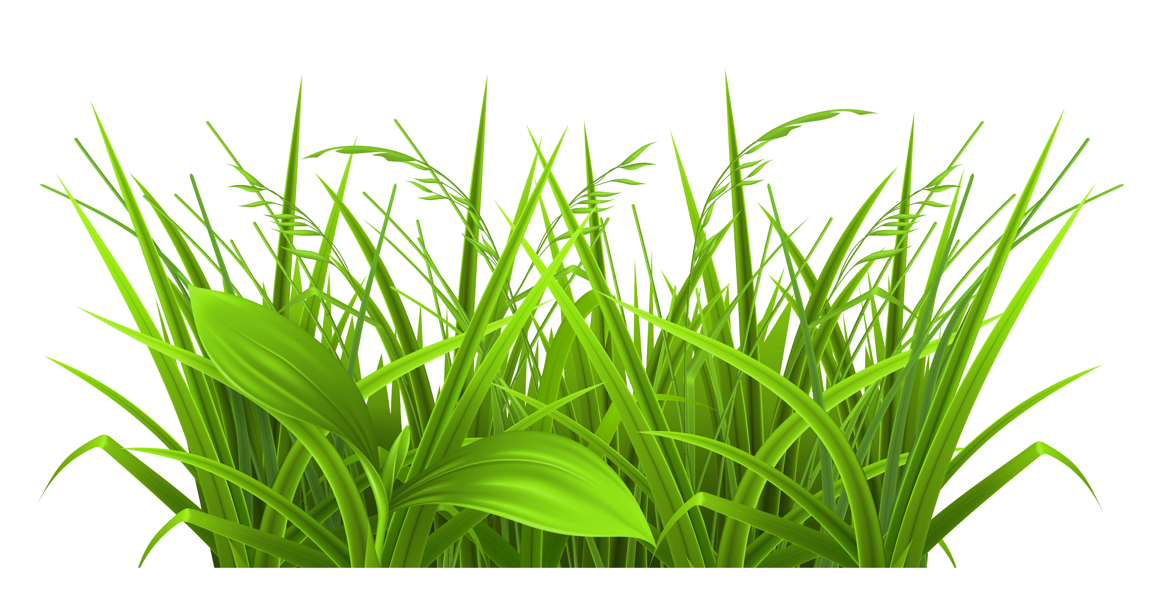 15 Cartoon Grass Free Cliparts That You Can Download To You Computer