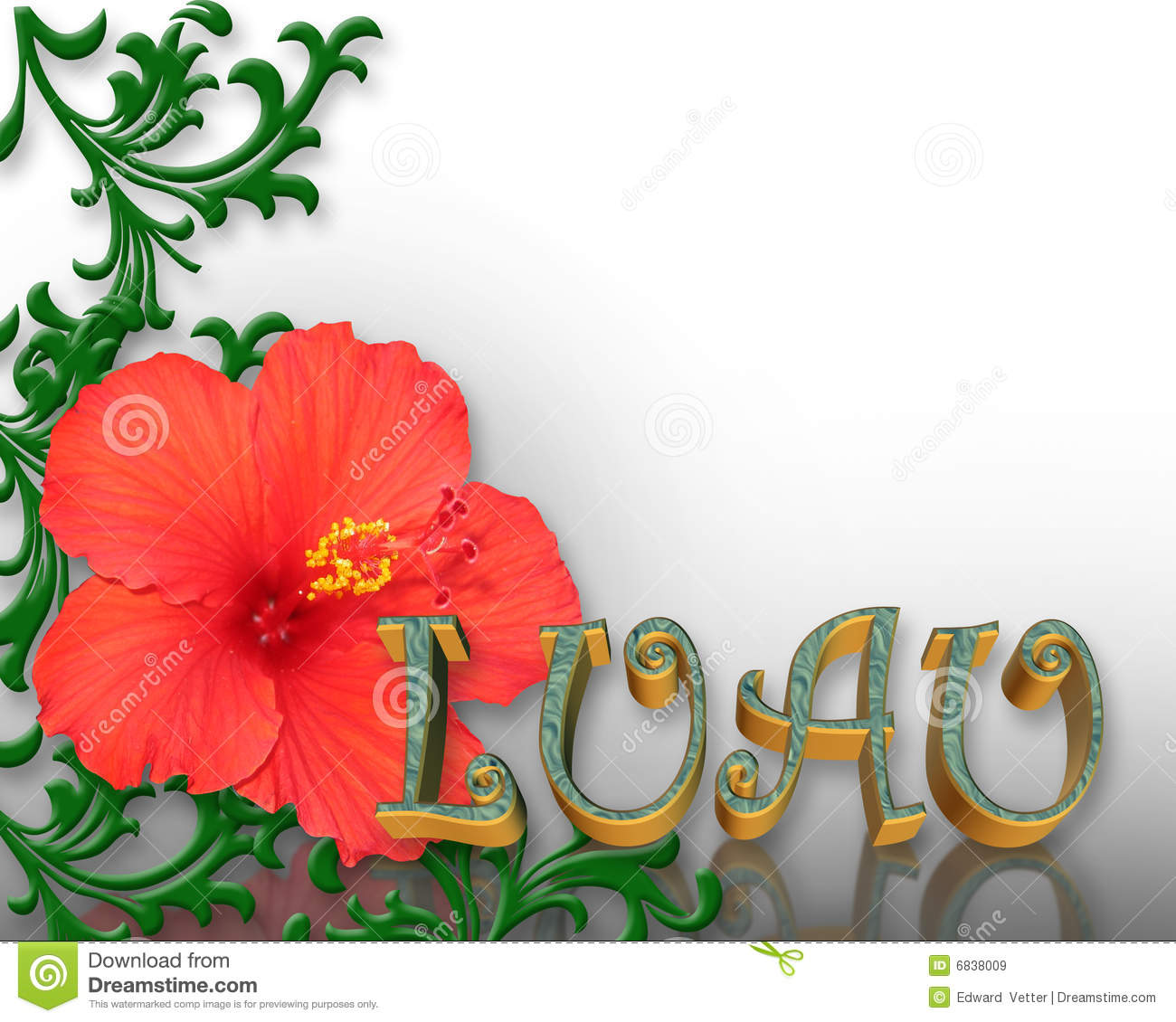 Luau Invitation Hibiscus Background Royalty Free Stock Images   Image    