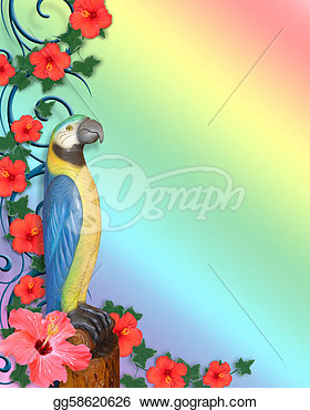 Luau Parrot Head Background   Stock Clipart Gg58620626   Gograph