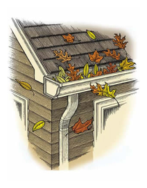 Why You Should Clean Your Gutters