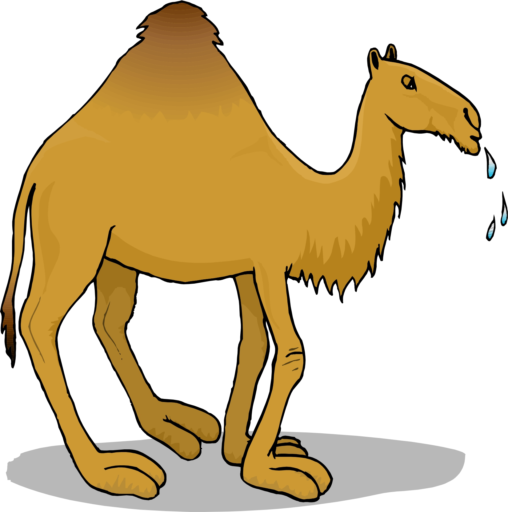 10 Camel Cartoon Images   Free Cliparts That You Can Download To You    