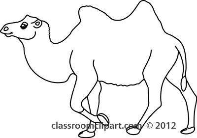 Animals   Bacterian Camel 3 212 Outline   Classroom Clipart