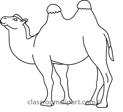 Animals   Camel 31412 01 Outline   Classroom Clipart